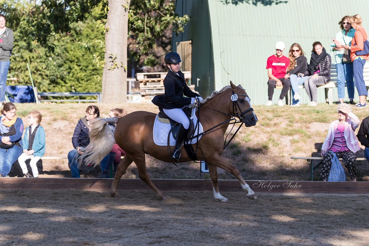 Bild 86 - Pony Akademie Turnier